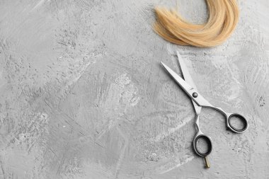 Scissors and piece of blond hair. Professional barber hair cutting shears on background. Hairdresser salon equipment concept, premium hairdressing set. Accessories for haircut with copy space