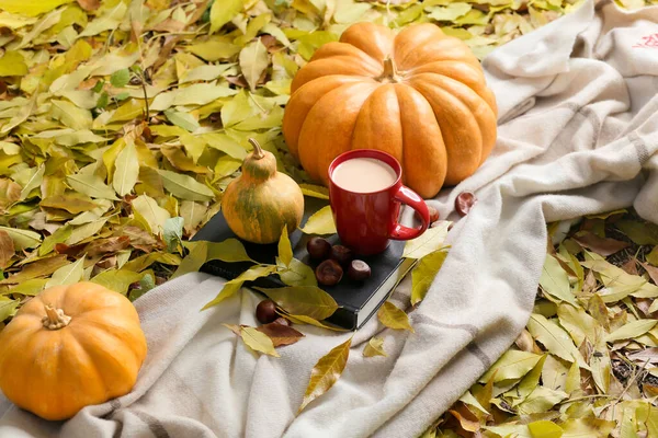 Autumn Park Pumpkin Season Cozy Autumn Concept Harvesting Golden Time — Stock Photo, Image