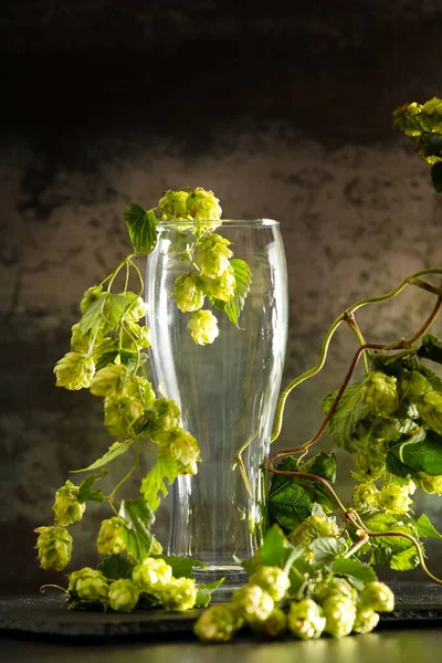 Empty Glass Beer Green Branches Hops Dark Background Concept Natural — Foto de Stock