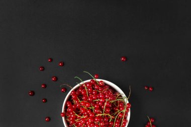 red currant branches on a dark background close-up copy space. Useful dietary product.