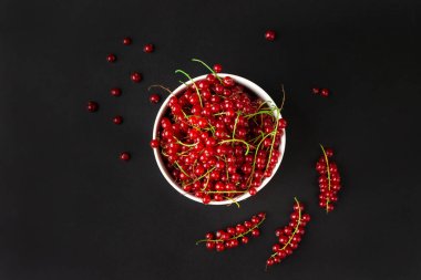 red currant branches on a dark background close-up copy space. Useful dietary product.