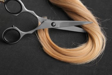 Scissors and piece of blond hair. Professional barber hair cutting shears on background. Hairdresser salon equipment concept, premium hairdressing set. Accessories for haircut with copy space