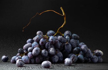 Karanlık bir arka planda bir demet üzüm. Siyah arkaplan üzerinde damla olan güzel bir siyah üzüm dalı