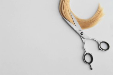 Scissors and piece of blond hair. Professional barber hair cutting shears on background. Hairdresser salon equipment concept, premium hairdressing set. Accessories for haircut with copy space