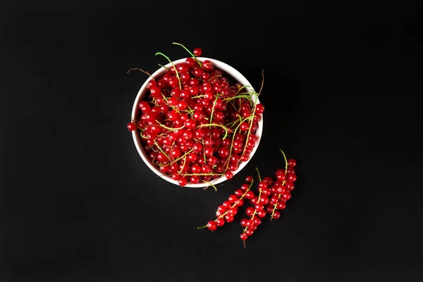 Red Currant Branches Dark Background Close Copy Space Useful Dietary — Stock Photo, Image
