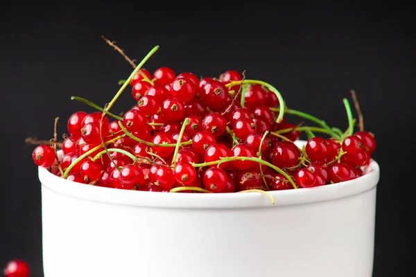 Red Currants White High Plate Dark Background Currant Branches White — Stock Photo, Image