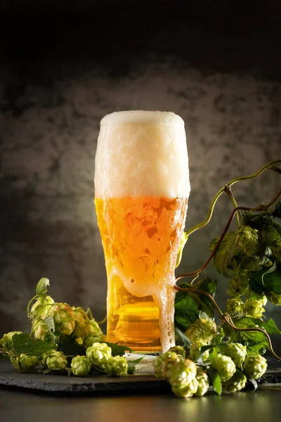 Glass Light Beer Foam Dark Background Bunches Green Hops Unfiltered — Fotografia de Stock