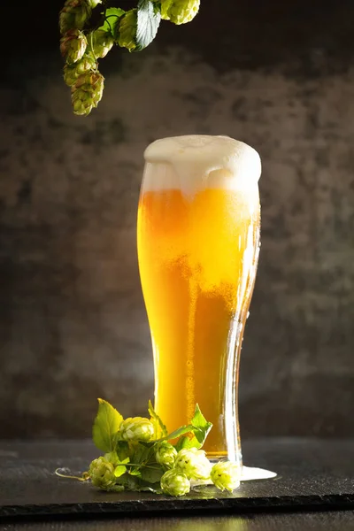 Glass Light Beer Foam Dark Background Bunches Green Hops Unfiltered — Foto de Stock
