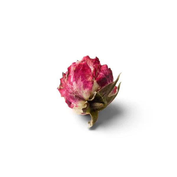 Ξηρό Τριαντάφυλλο Λευκό Φόντο Έννοια Της Μοναξιάς Της Ηλικίας Δυστυχισμένη — Φωτογραφία Αρχείου