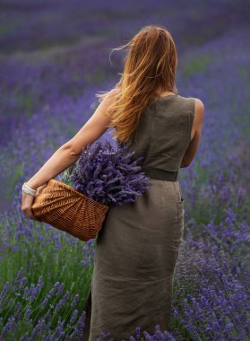 Bir kız lavanta tarlasında duruyor ve elinde lavanta çiçekleriyle dolu bir sepet tutuyor..