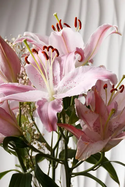 Buquê Lírios Rosa Fundo Branco Close Lily Flores Como Fundo — Fotografia de Stock