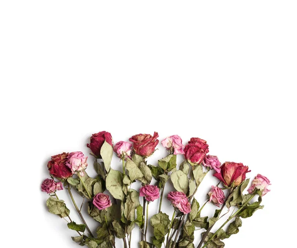 Trockene Rosa Rosen Auf Weißem Hintergrund Draufsicht Kopierraum Tote Rosen — Stockfoto
