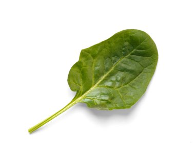 Beyaz arka planda taze yeşil organik ıspanak, üst manzara..