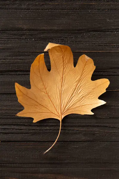 Dry Yellow Leaf Structural Wooden Background Top View Autumn Leaf — Stock Photo, Image