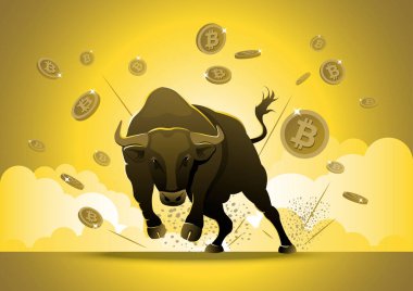 Bull Run Bitcoin Piyasa Değişimi