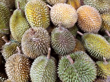 Endonezya 'nın Jakarta kentindeki yol kenarındaki tezgahta satılık Asya Durian meyveleri yığını.