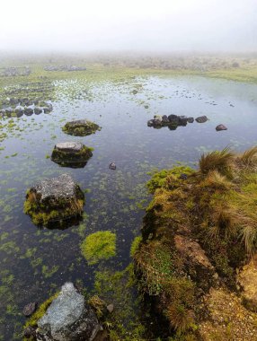 Lawu Dağı 'nda su birikintileri olan Savanna, KARANGanyar, İNDONEZYA
