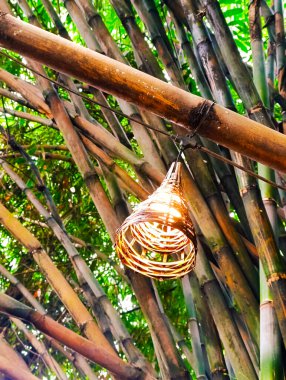 Yakın plan, dikey bir fotoğraf güzel bir el yapımı lambayı vurguluyor, muhtemelen bambu ya da rattan örülmüş, yoğun bir bambu koruluğunda asılı.
