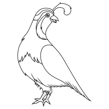 Bıldırcın çizgi film sanatı.