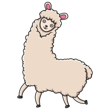 Cartoon funny llama on white background
