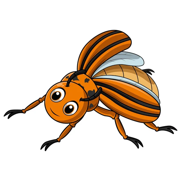 Colorado Käfer Karikatur Auf Weißem Hintergrund — Stockvektor