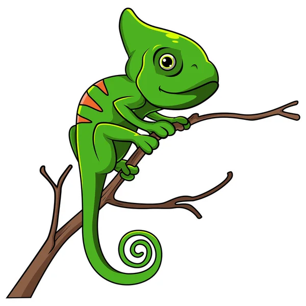 Kameleon Jaszczurka Kreskówka Gałęzi Drzewa — Zdjęcie stockowe