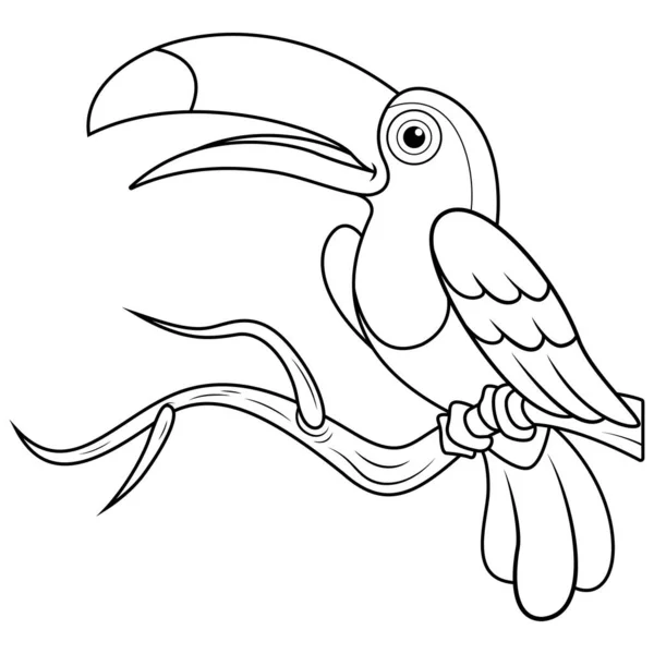 Toucans Bird Cartoon Line Art — Stock Vector