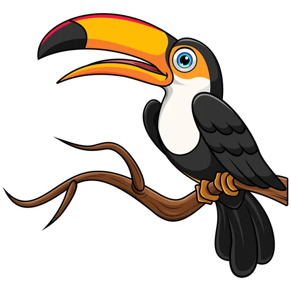 Toucan Kuşları Ağaç Dalında Karikatür — Stok fotoğraf