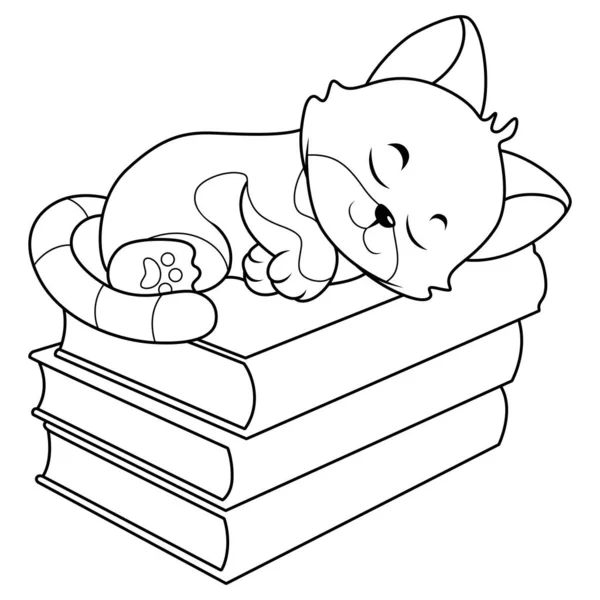 Desenhos Animados Bonito Gato Dormindo Pilha Livros Line Arte — Fotografia de Stock