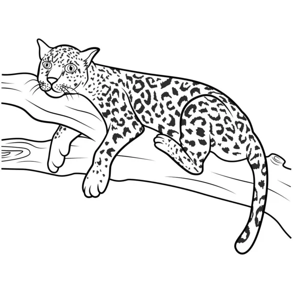 Leopard lying on a tree branch line art