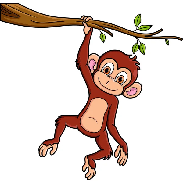 Мультяшна Мавпа Висить Гілці Дерева — стокове фото