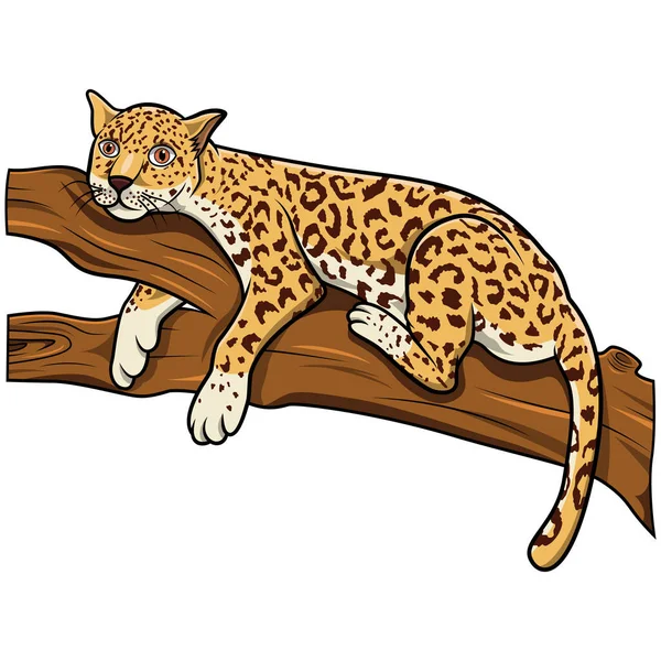 Иллюстрация Леопарда Лежащего Ветке Дерева — стоковое фото