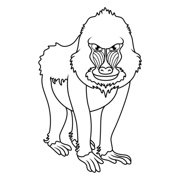Ilustração Cartoon Mandrill Babuíno Arte Linha — Fotografia de Stock