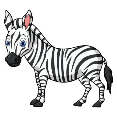 Beyaz arka planda sevimli bebek zebra