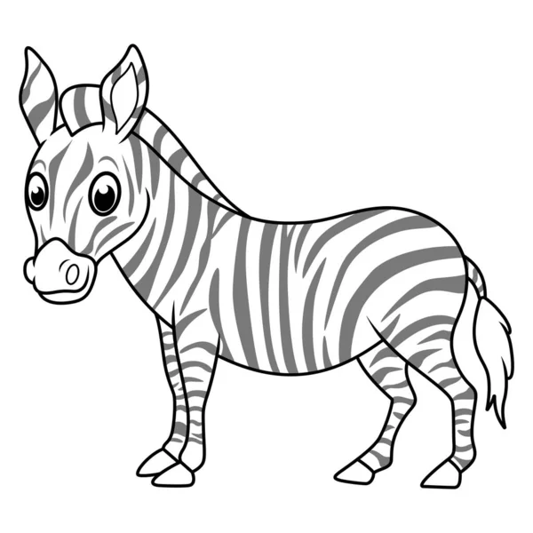 Bonito Bebê Zebra Linha Arte — Fotografia de Stock