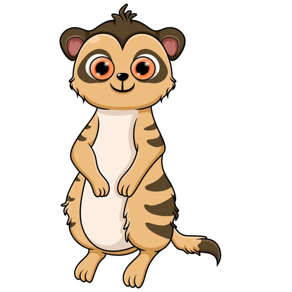 Cute Meerkat Cartoon White Background — Stock Photo, Image