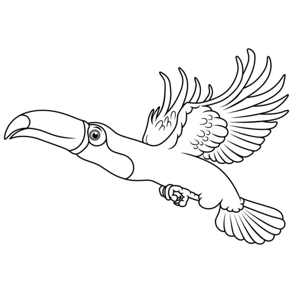 Cartoon Toucan Flying Line Art — Stockový vektor