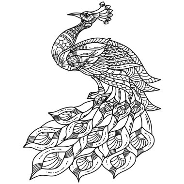 Zentangle stilinde el çizimi tavus kuşu