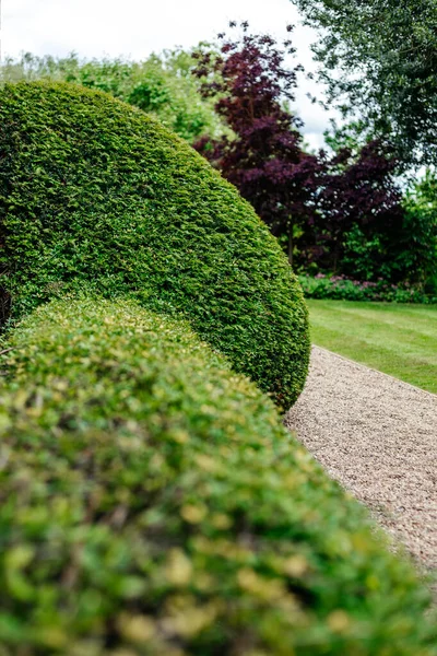 Bellissimi Giardini Inglesi Elementi Giardino Nel Regno Unito — Foto Stock