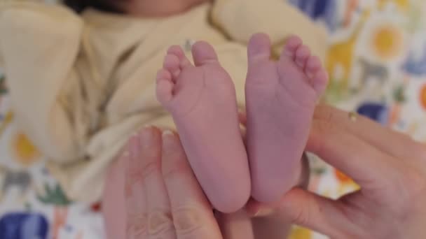 Pequeño Bebé Pies Aplaudiendo Momias Manos — Vídeos de Stock