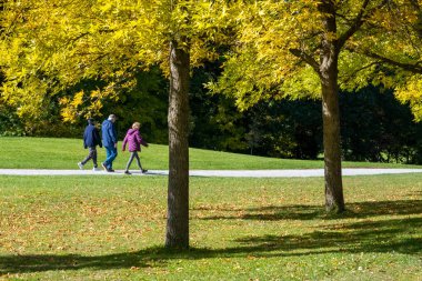 Montreal, Kanada - 10 Ekim 2022: Sonbahar sezonunda Maisonneuve Park 'ta yürüyen insanlar
