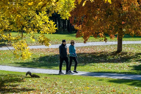 stock image Montreal, Canada - 10 October 2022: People walking in Maisonneuve Park in the Autumn season