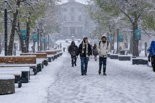 Montreal Novembro 2022 Primeira Queda Neve Temporada Atinge Cidade Estudantes — Fotografia de Stock