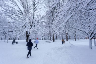 Montreal, CA - 17 Aralık 2022: Lafontaine Parkı kar fırtınası sırasında