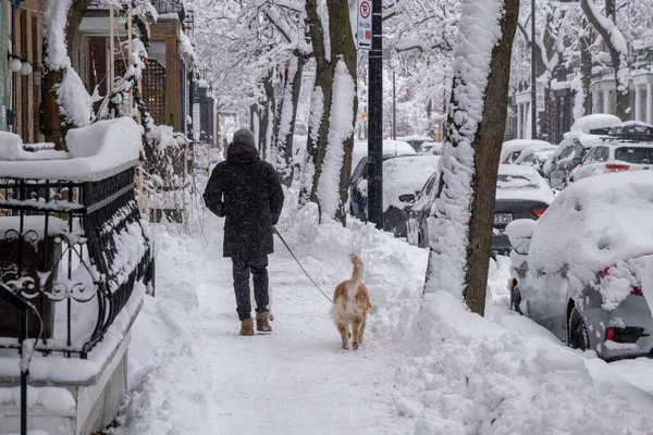 Montreal Dezembro 2022 Homem Caminhando Com Seu Cão Durante Tempestade — Fotografia de Stock