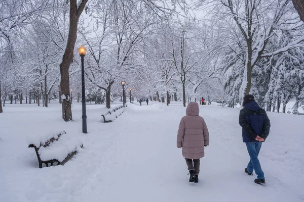 Montreal Dezembro 2022 Pedestres Caminhando Parque Lafontaine Durante Tempestade Neve — Fotografia de Stock