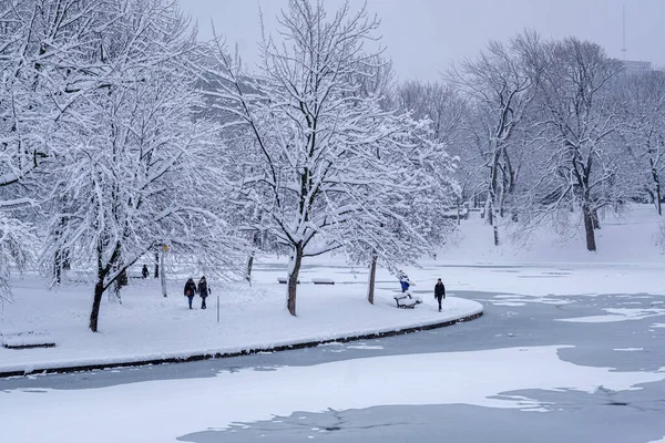 Montreal Dezembro 2022 Parque Lafontaine Durante Tempestade Neve — Fotografia de Stock