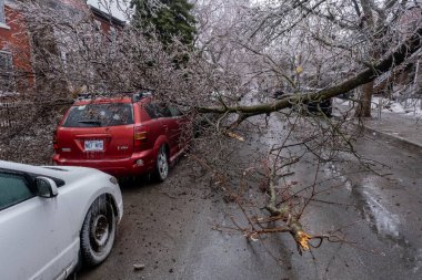 Montreal, Kanada - 5 Nisan 2023: donmuş yağmurdan sonra kırılan buzlu ağacın altındaki araba