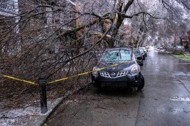 Montreal, Kanada - 5 Nisan 2023: donmuş yağmurdan sonra kırılan buzlu ağacın altındaki araba