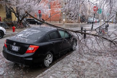 Montreal, Kanada - 5 Nisan 2023: donmuş yağmurdan sonra kırılan buzlu ağacın altındaki araba